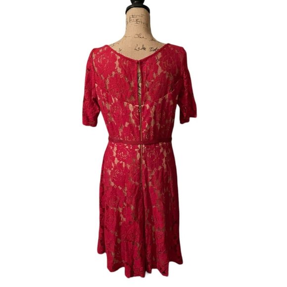 Danny And Nicole Lace Dress - Picture 5 of 8